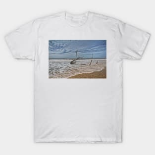 Edisto Beach South Carolina T-Shirt